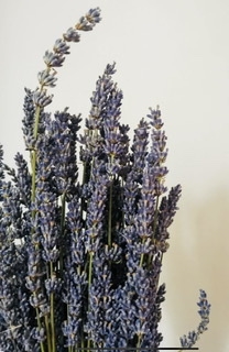 Dried Lavender (Bunch), The Baggery Sundries UK Ltd Dried Lavender (Bunch)