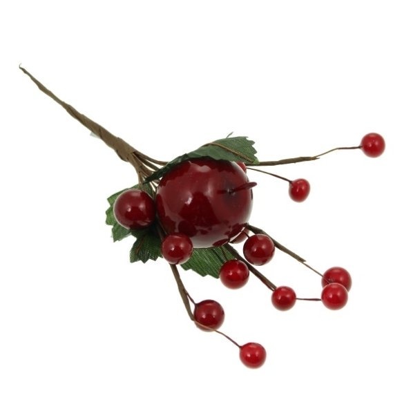 Christmas Red Berry Pick