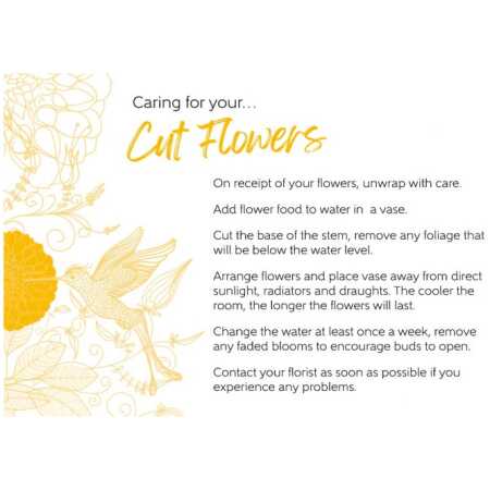 Oasis&reg; Care Card - Cut Flowers
