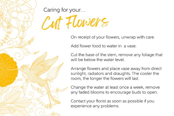 Oasis® Care Card - Cut Flowers, The Baggery Sundries UK Ltd Oasis® Care Card - Cut Flowers