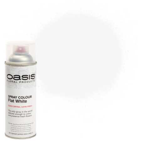 Oasis&reg; Spray Colour - Flat White