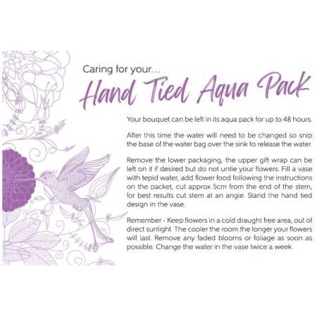 Oasis&reg; Care Card - Aqua Pack