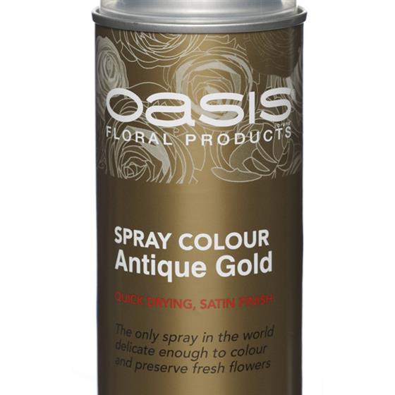 Oasis® Spray Colour – Antique Gold02