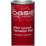 Oasis® Spray Colour – Carnation Red
