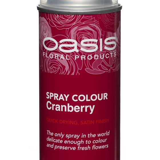 Oasis® Spray Colour – Cranberry02