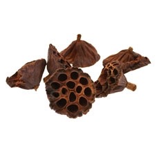 Lotus Heads, The Baggery Sundries UK Ltd Lotus Heads