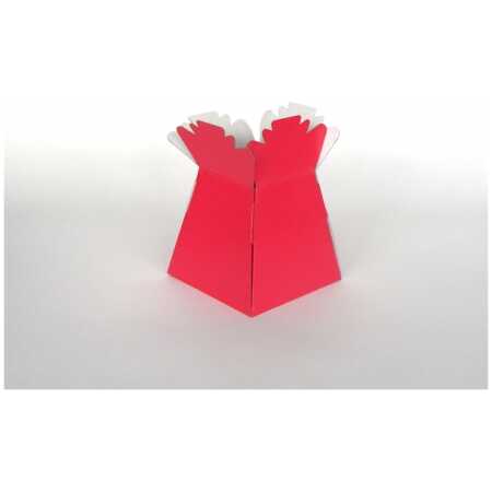Living Vase - Fuschia