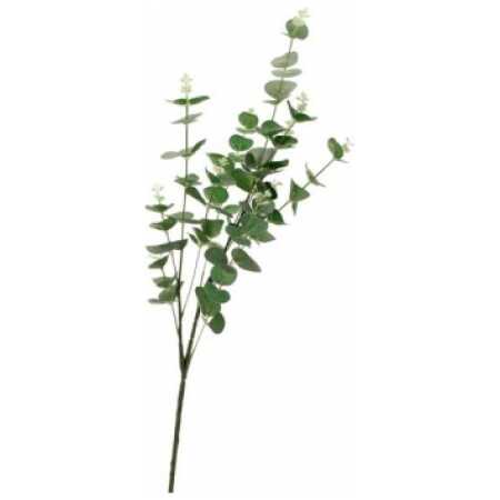 Eucalyptus Stem - Green