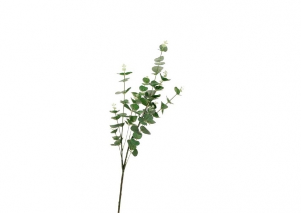 Eucalyptus Stem - Green, The Baggery Sundries UK Ltd Eucalyptus Stem - Green