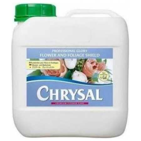 Chrysal Professional Glory Refill