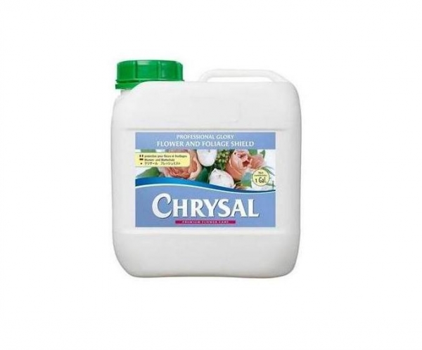 Chrysal Professional Glory Refill, The Baggery Sundries UK Ltd Chrysal Professional Glory Refill