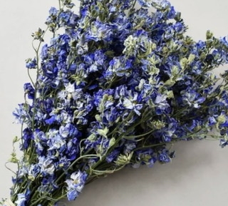 Dried Bunch Delphinium, The Baggery Sundries UK Ltd Dried Bunch Delphinium