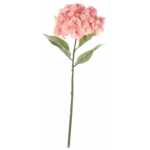 Large Hydrangea - Peach