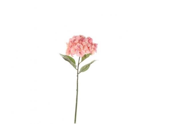 Large Hydrangea - Peach, The Baggery Sundries UK Ltd Large Hydrangea - Peach