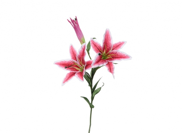 Cameo Casablanca Lily - Pink, The Baggery Sundries UK Ltd Cameo Casablanca Lily - Pink