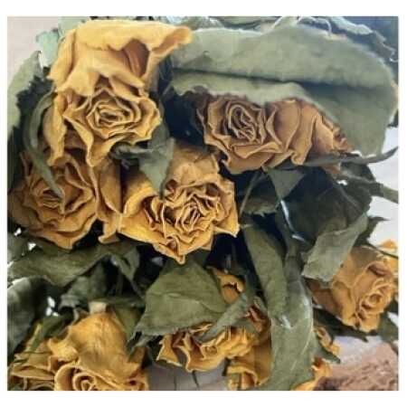 Dried Bunch Rosa Spray Musica