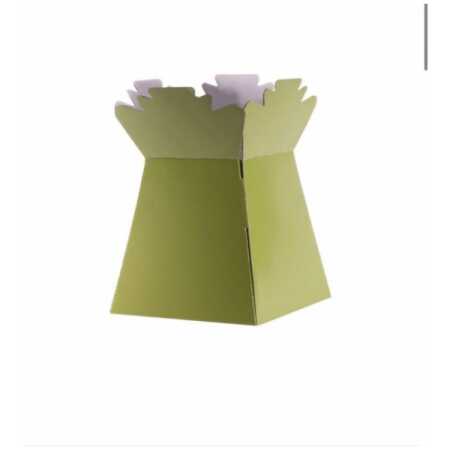 Living Vase - Sage Green