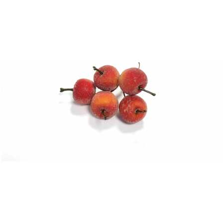 Christmas Frosted Apples - Bright Red/Orange