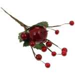 Christmas Red Berry Pick