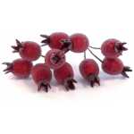 Christmas Red Frosted Rose Hip Picks