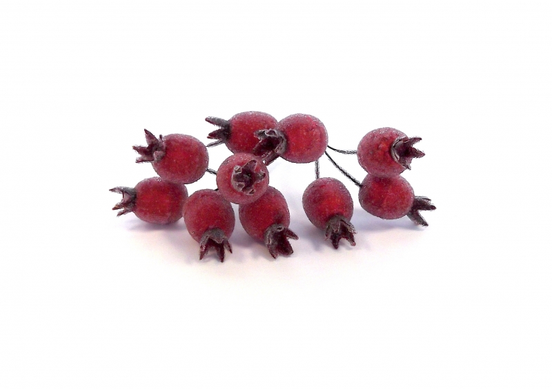 Christmas Red Frosted Rose Hip Picks, The Baggery Sundries UK Ltd Christmas Red Frosted Rose Hip Picks