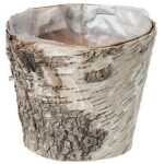Christmas- pot birch 11cm