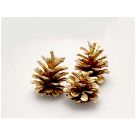 Christmas Austriaca Gold Pine Cones