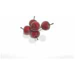 Christmas Frosted Apples - Red