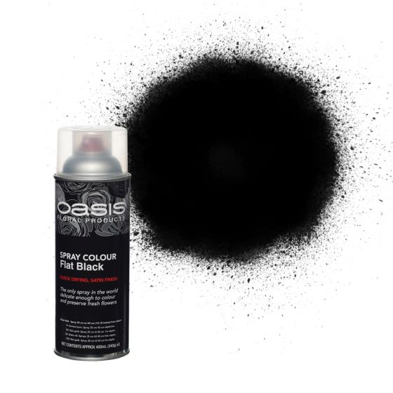 Oasis&reg; Spray Colour &ndash; Flat Black