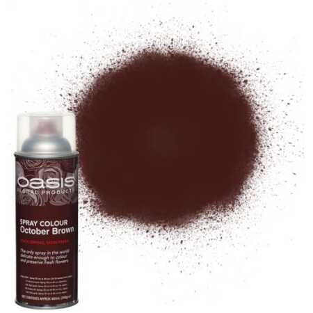 Oasis® Spray Colour - October Brown