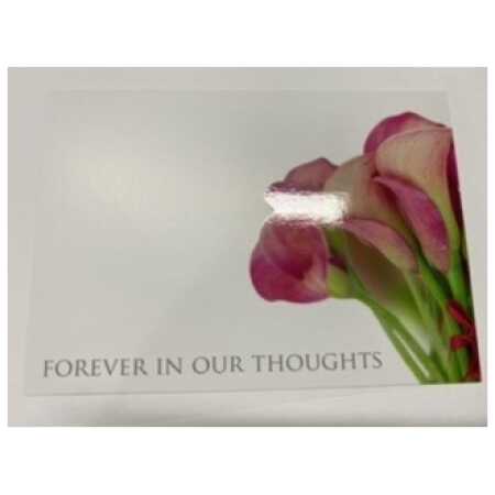 Large- forever in our thoughts