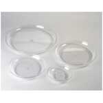 Celebration Dish - Clear