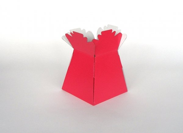 Living Vase - Fuschia, The Baggery Sundries UK Ltd Living Vase - Fuschia