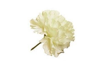 Single Carnation - Ivory, The Baggery Sundries UK Ltd Single Carnation - Ivory