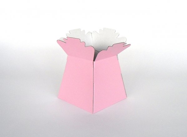 Living Vase - Pink