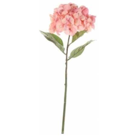 Large Hydrangea - Peach