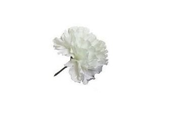 Single Carnation - White, The Baggery Sundries UK Ltd Single Carnation - White