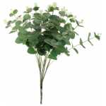 Eucalyptus Bush - Green