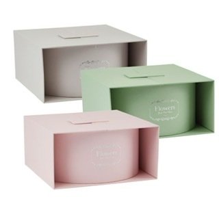 Oasis- Alice Surprise Box Lined
