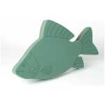 Oasis&reg; Foam Frames&reg; Fish
