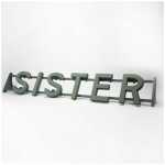 Plastic Backed - SISTER Frame