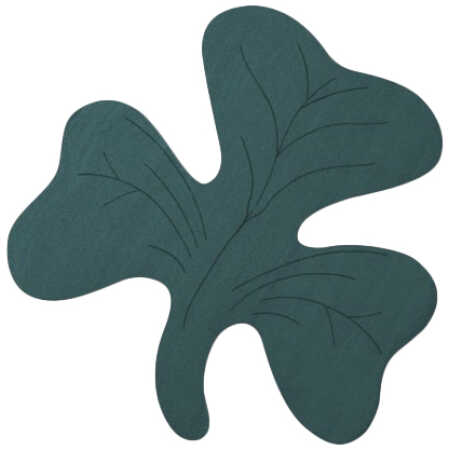 Foam Frames Shamrock