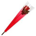 Single Rose Cellophane Sleeve - Red