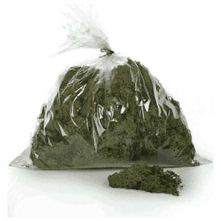 Finland Moss - Dark Green