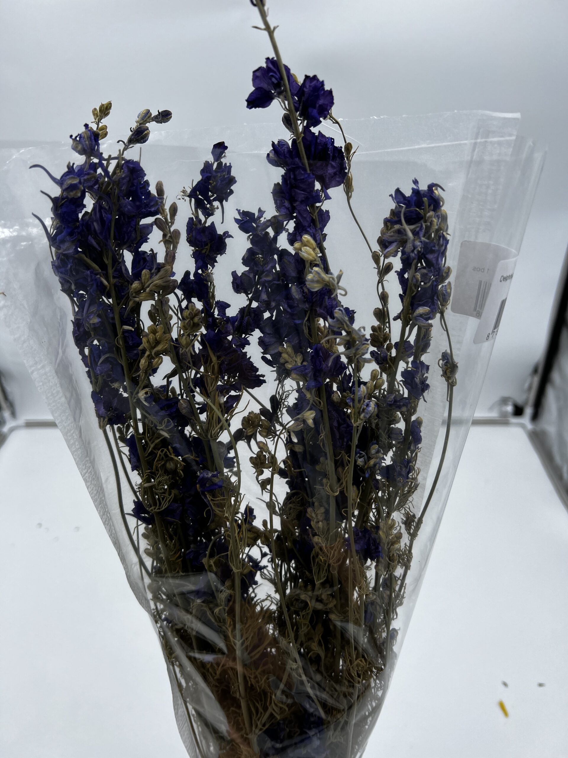 Dried - Delphinium Blue, The Baggery Sundries UK Ltd Dried - Delphinium Blue