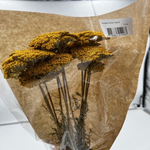 Dried - Achillea Parker Natural, The Baggery Sundries UK Ltd Dried - Achillea Parker Natural