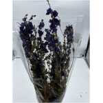Dried - Delphinium Blue