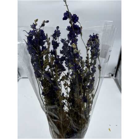 Dried - Delphinium Blue