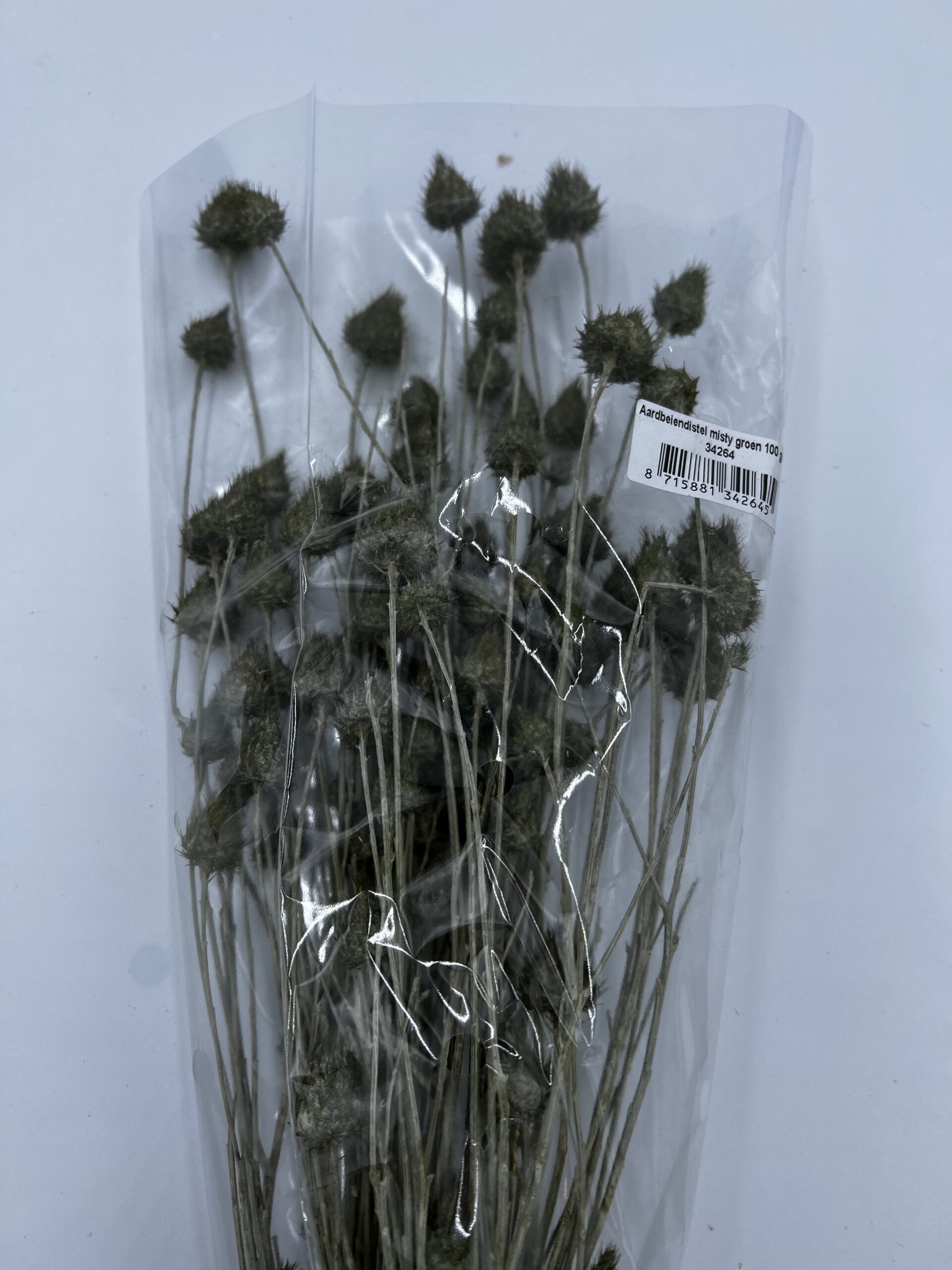 Dried - Strawberry Thistle Misty Green, The Baggery Sundries UK Ltd Dried - Strawberry Thistle Misty Green