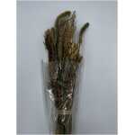 Field Bouquet Extra Big Mixed Natural